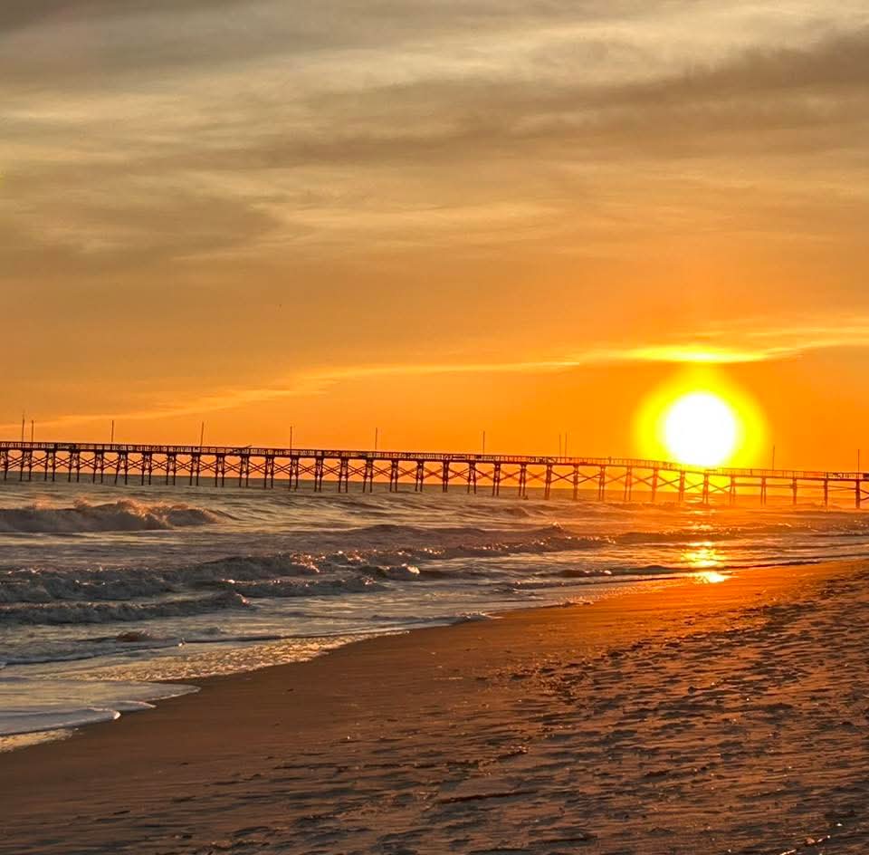 Bob 🇺🇸 tweet media