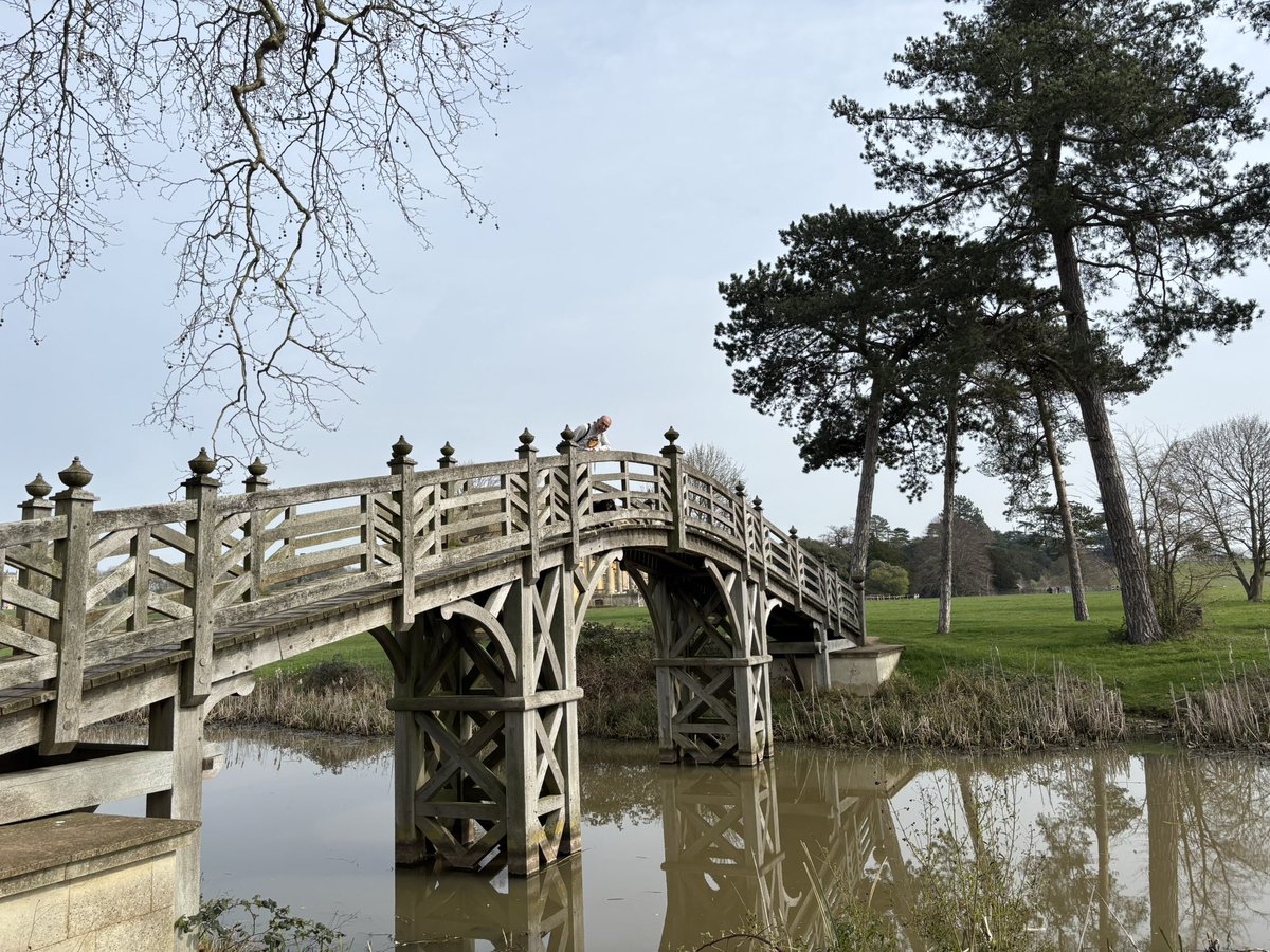 Arthur 🐶🐾 tweet media