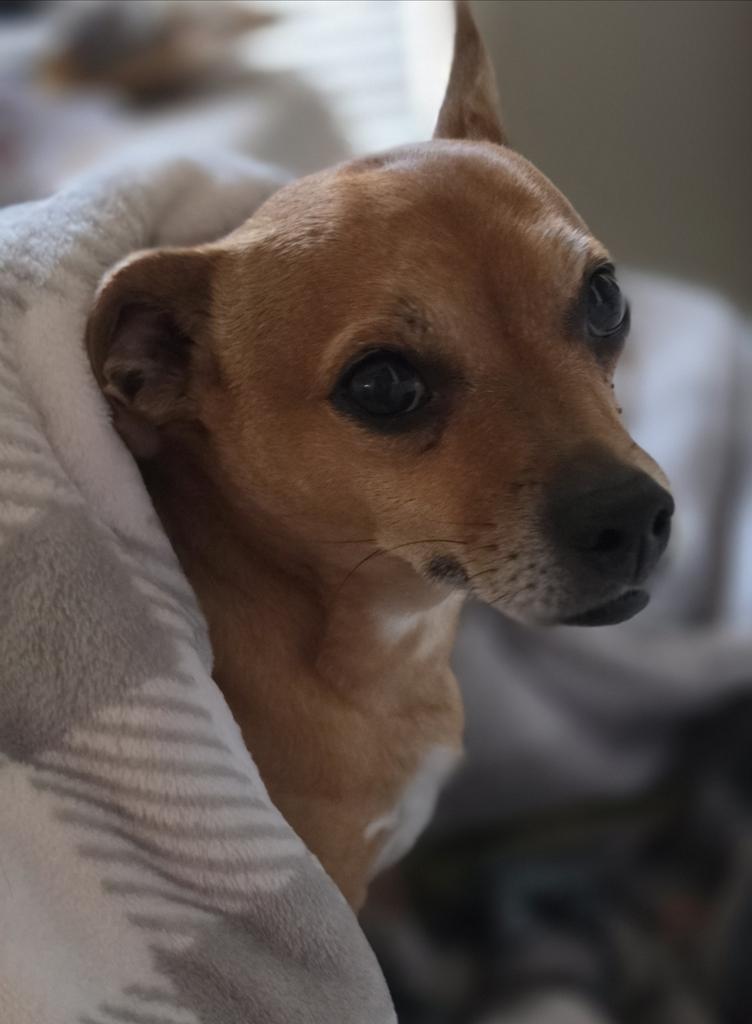 Keith Malinak ATMshow.com tweet media