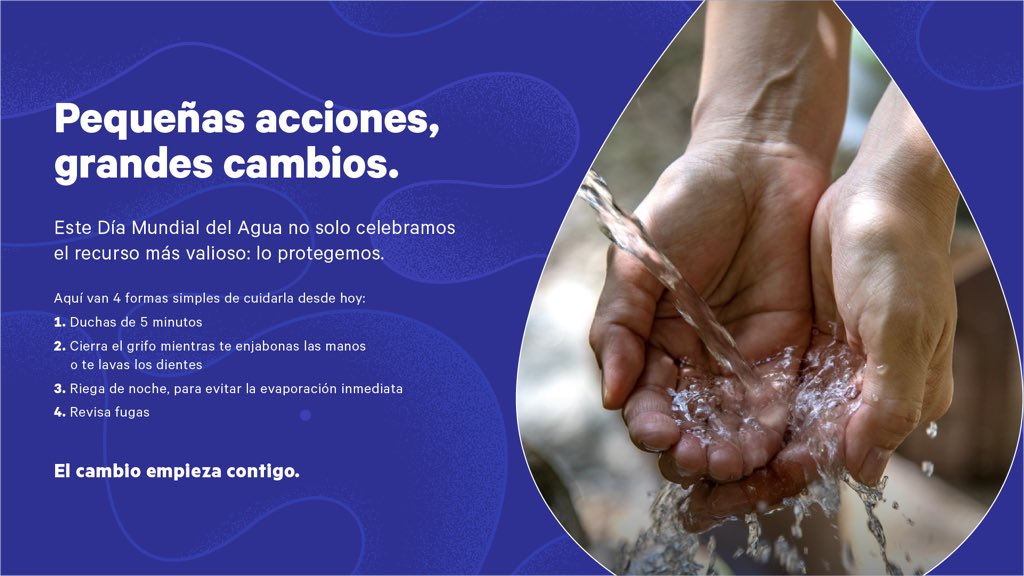 @AnteaMx tweet media