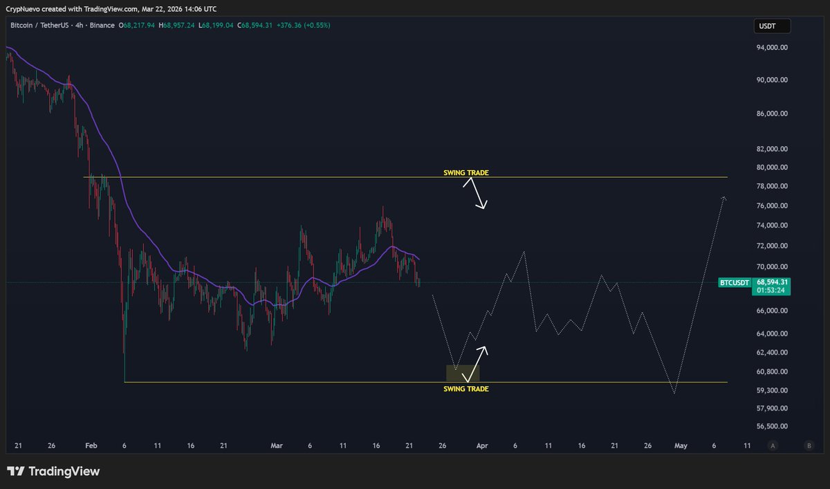 CrypNuevo 🔨 tweet media