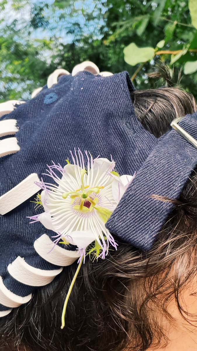 seu vinicius tweet media