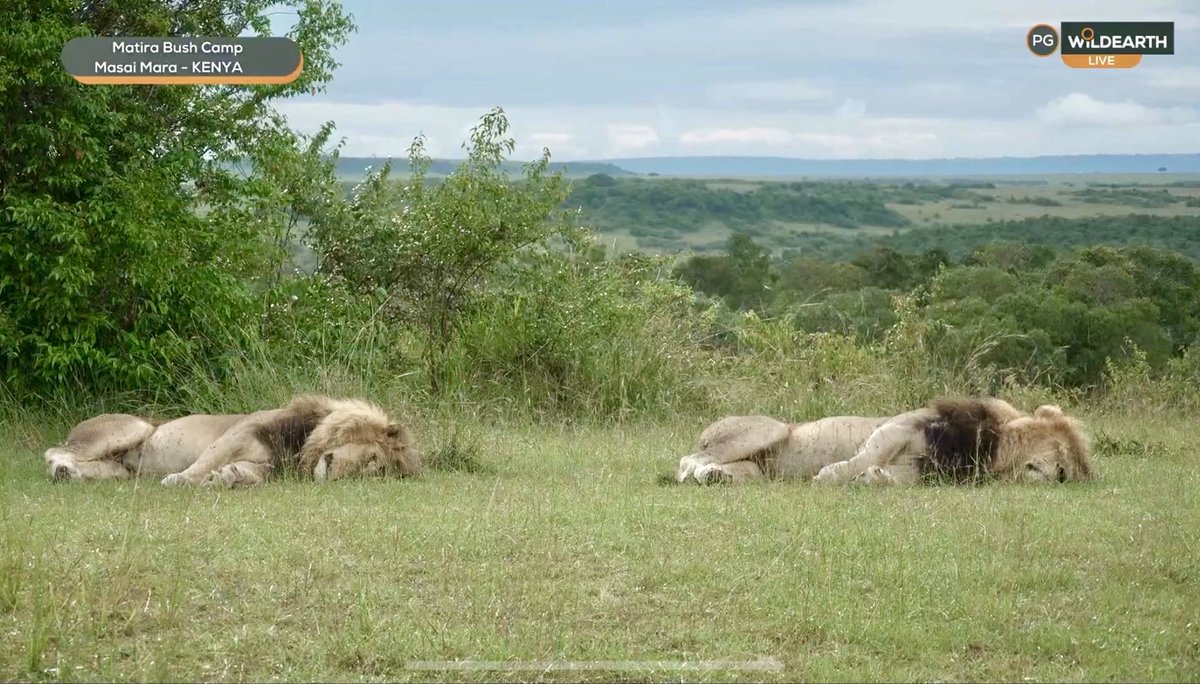 Michelle Silverman tweet media