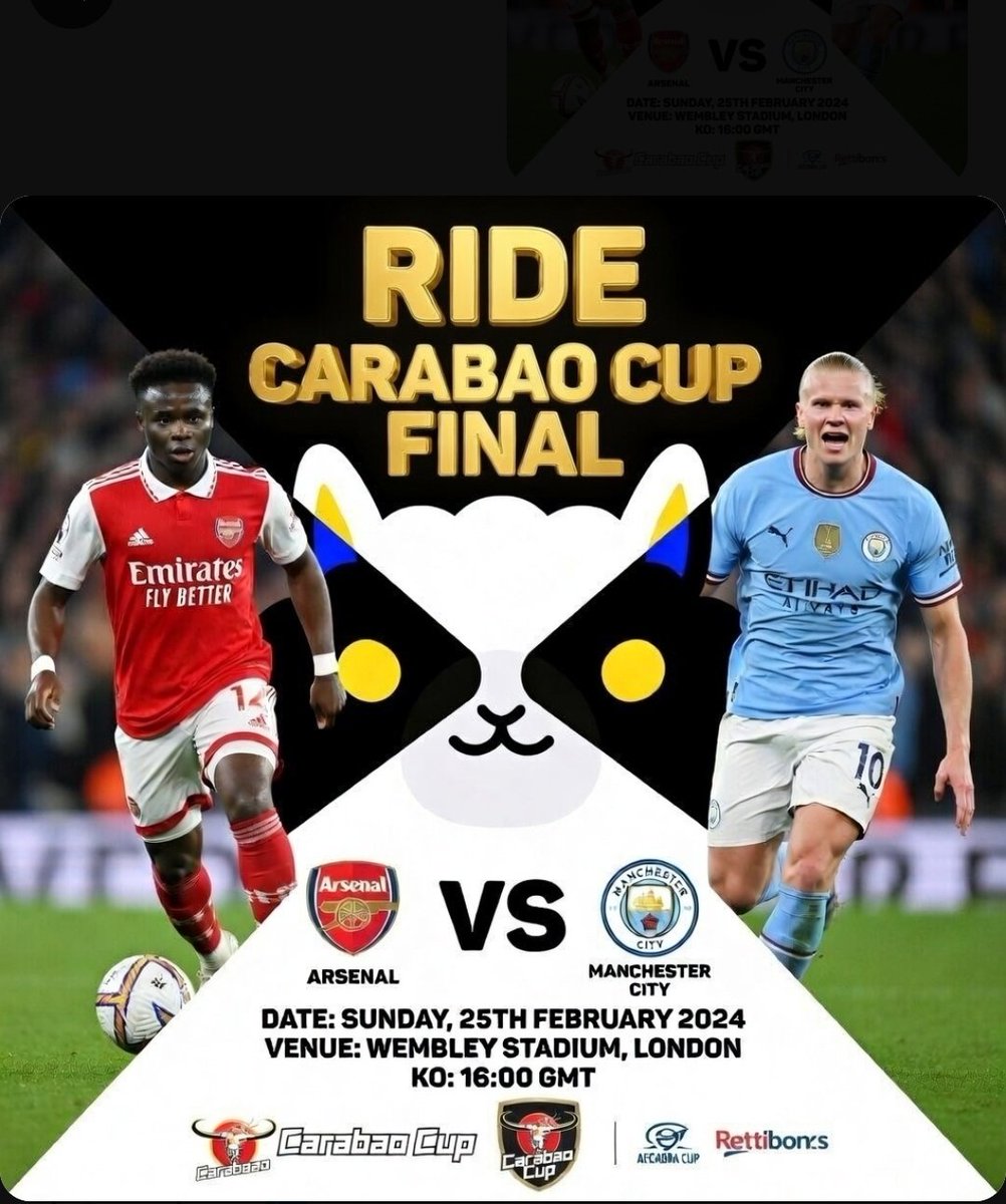 Amphibious 🦙🔥 tweet media