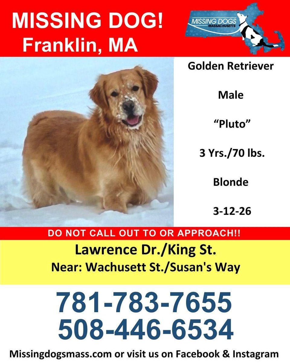 Christine J Arepaki tweet media