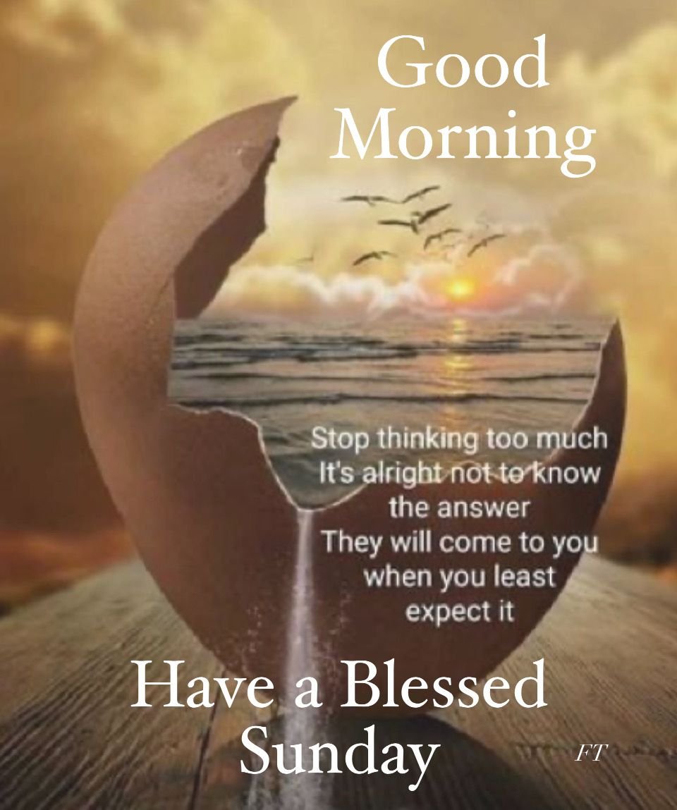 Lori Bauer🇨🇦🏒🥅🔥 tweet media