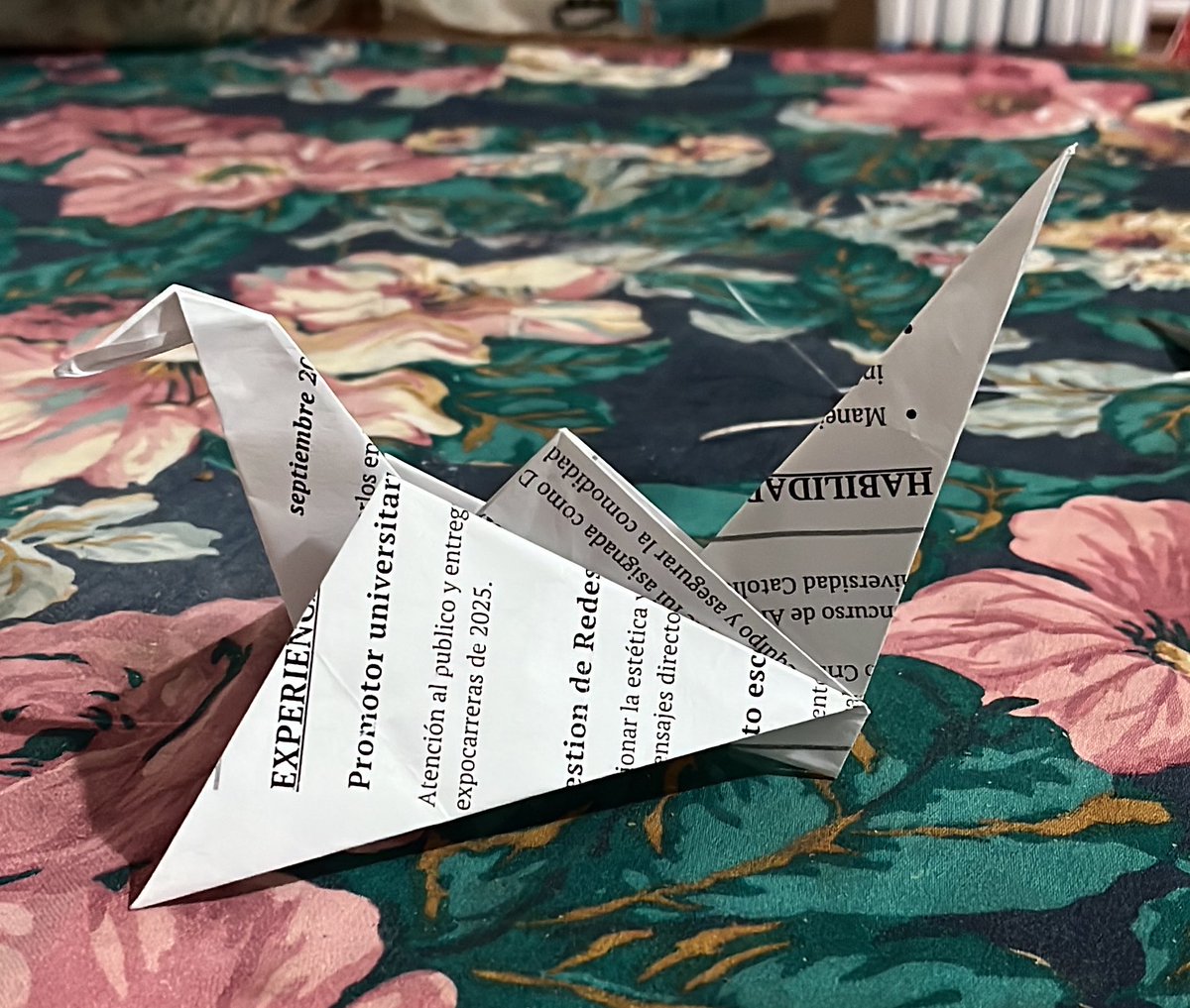 Mikey 🎸 tweet media