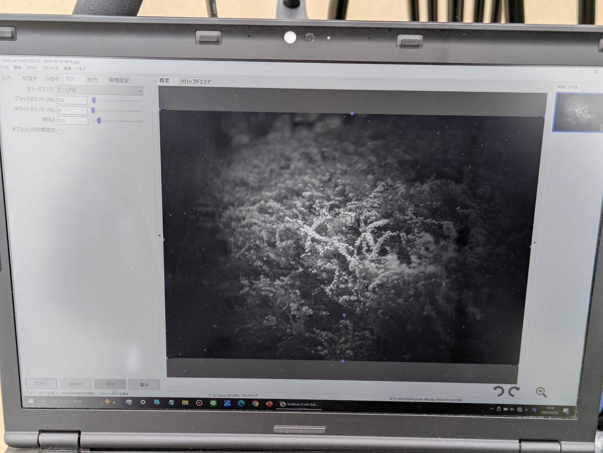 よんだぼ@3/21(土)-NT京都2026 tweet media