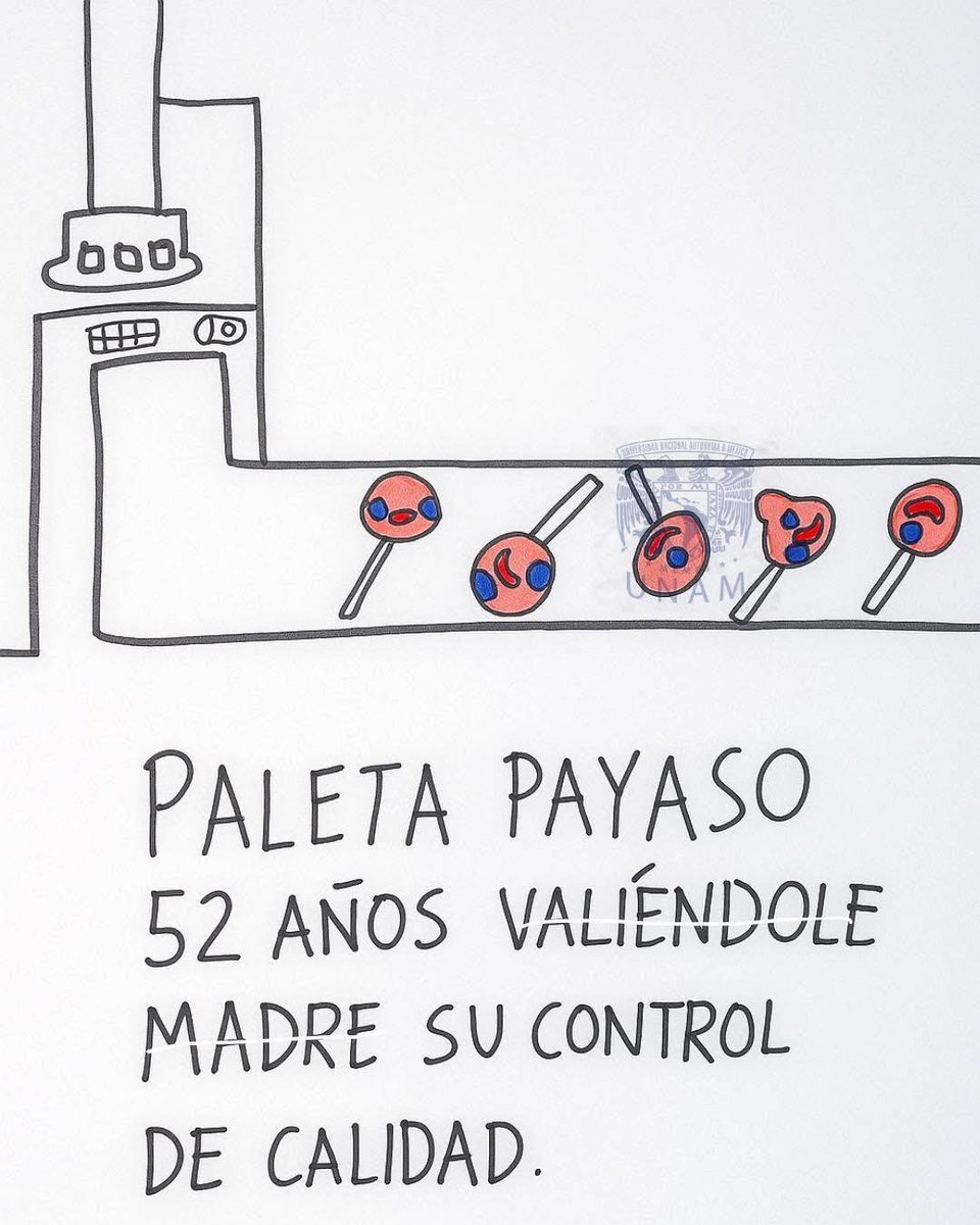 Más Ciencia tweet media