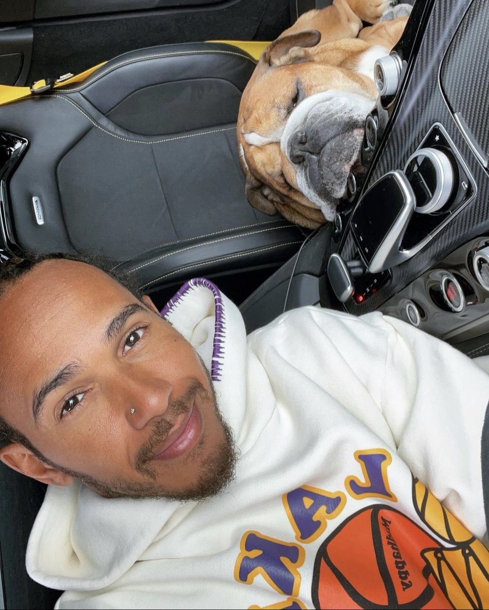 Hourly Lewis Hamilton tweet media