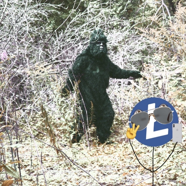 Litecoin tweet media