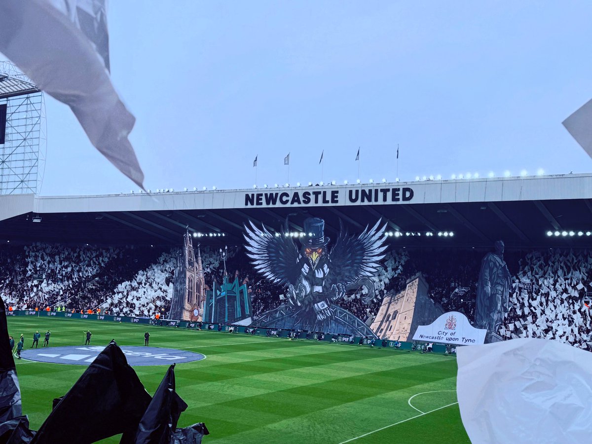 Danielle Sandy tweet media