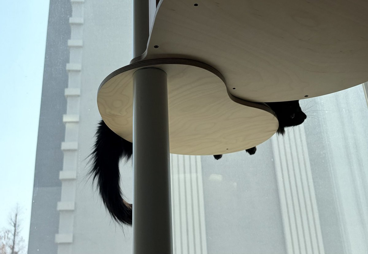 제로 콜라🥤 tweet media