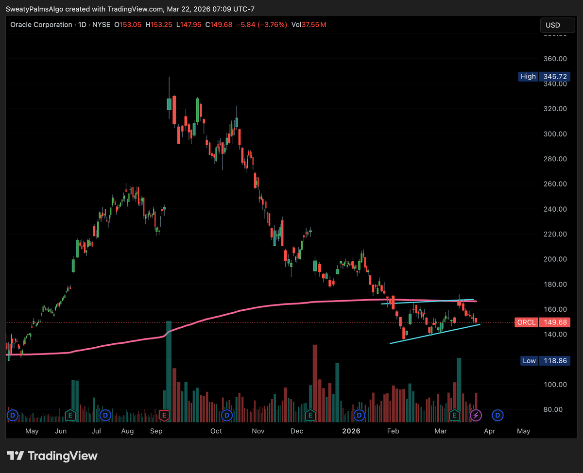 First Fellow tweet media