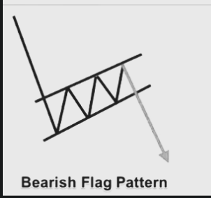 First Fellow tweet media