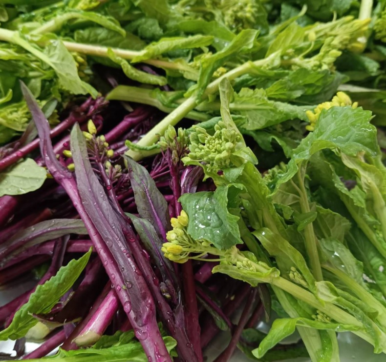 よしき@九州の山奥で有機農業 tweet media