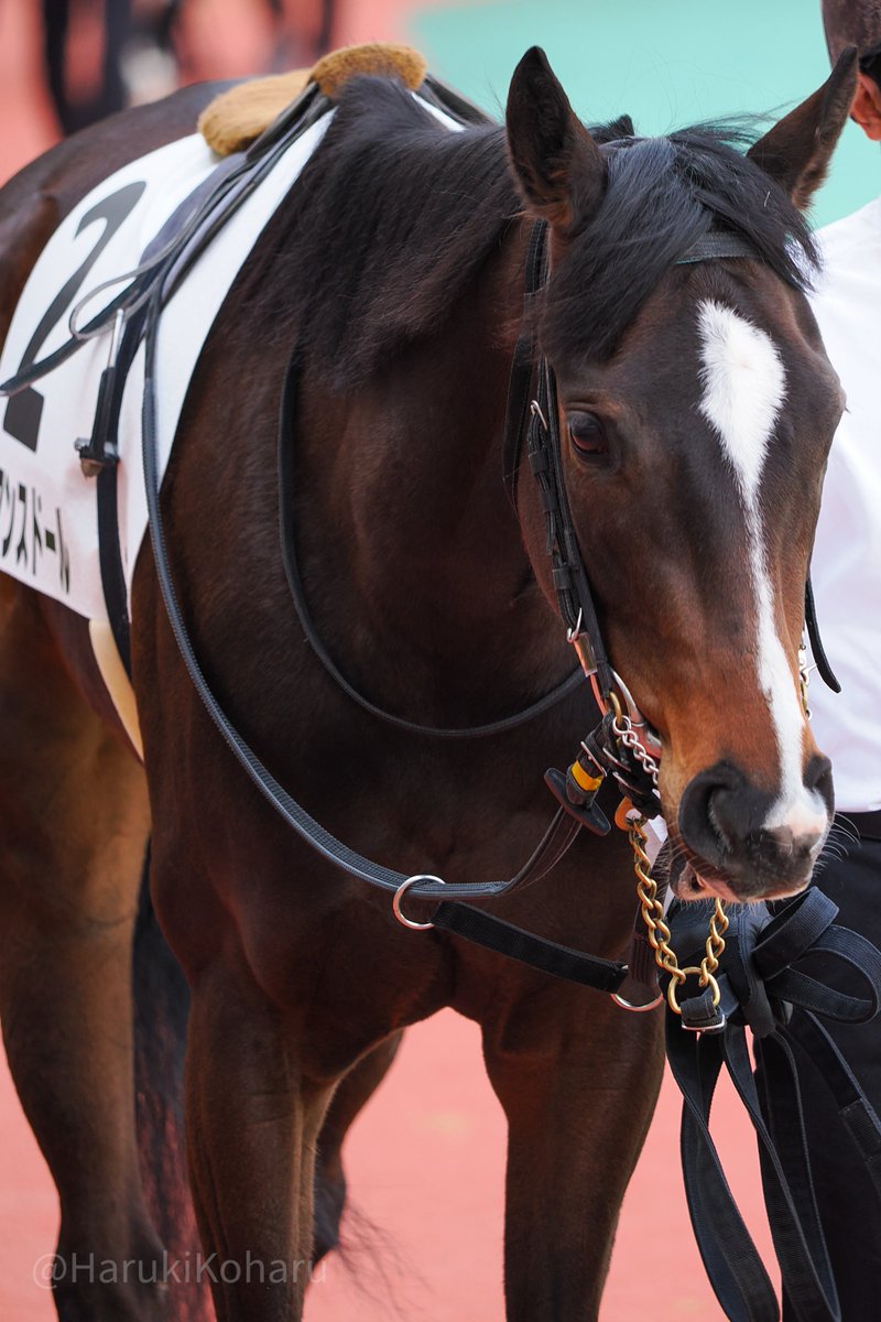 春木小春 tweet media