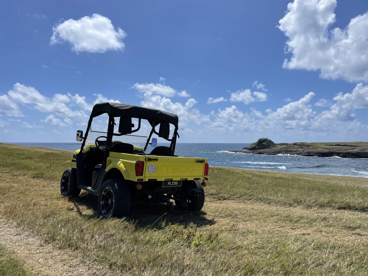 Coconut Bay St Lucia tweet media