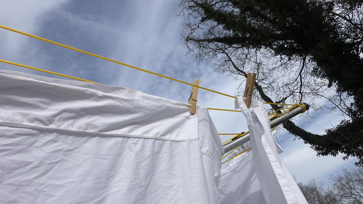 Twiggy Bigwood tweet media