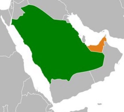 m i s s d i o r🇸🇦 tweet media