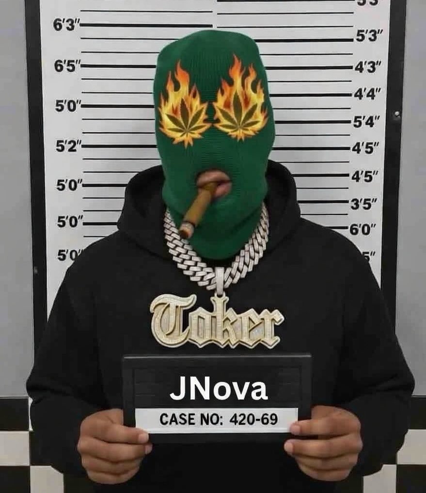 JNova tweet media