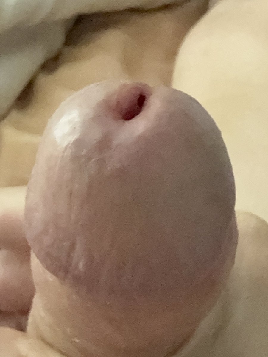 MuscMaker2 tweet media