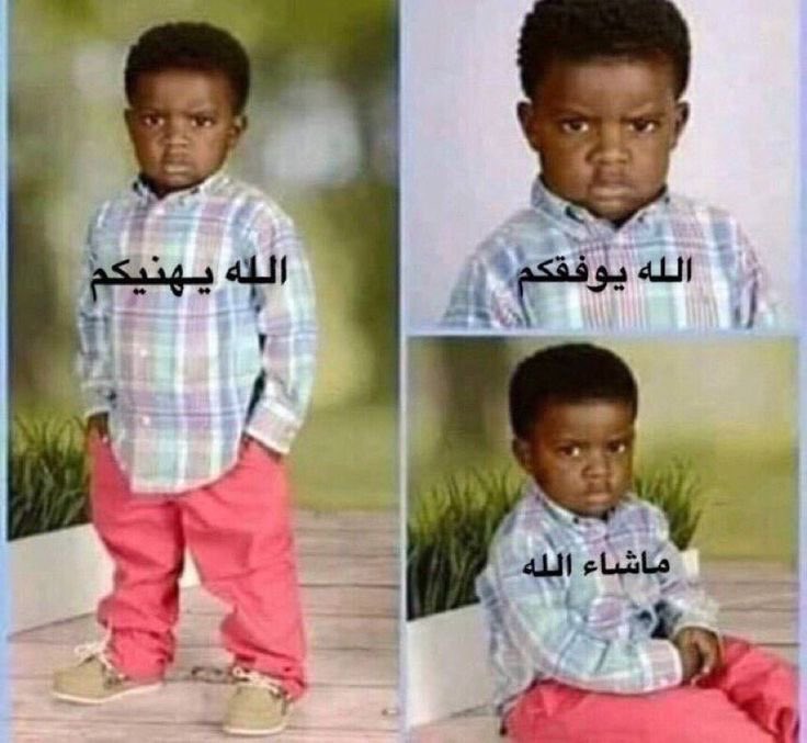 عِزّو || ezoo tweet media