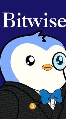 张小美 tweet media