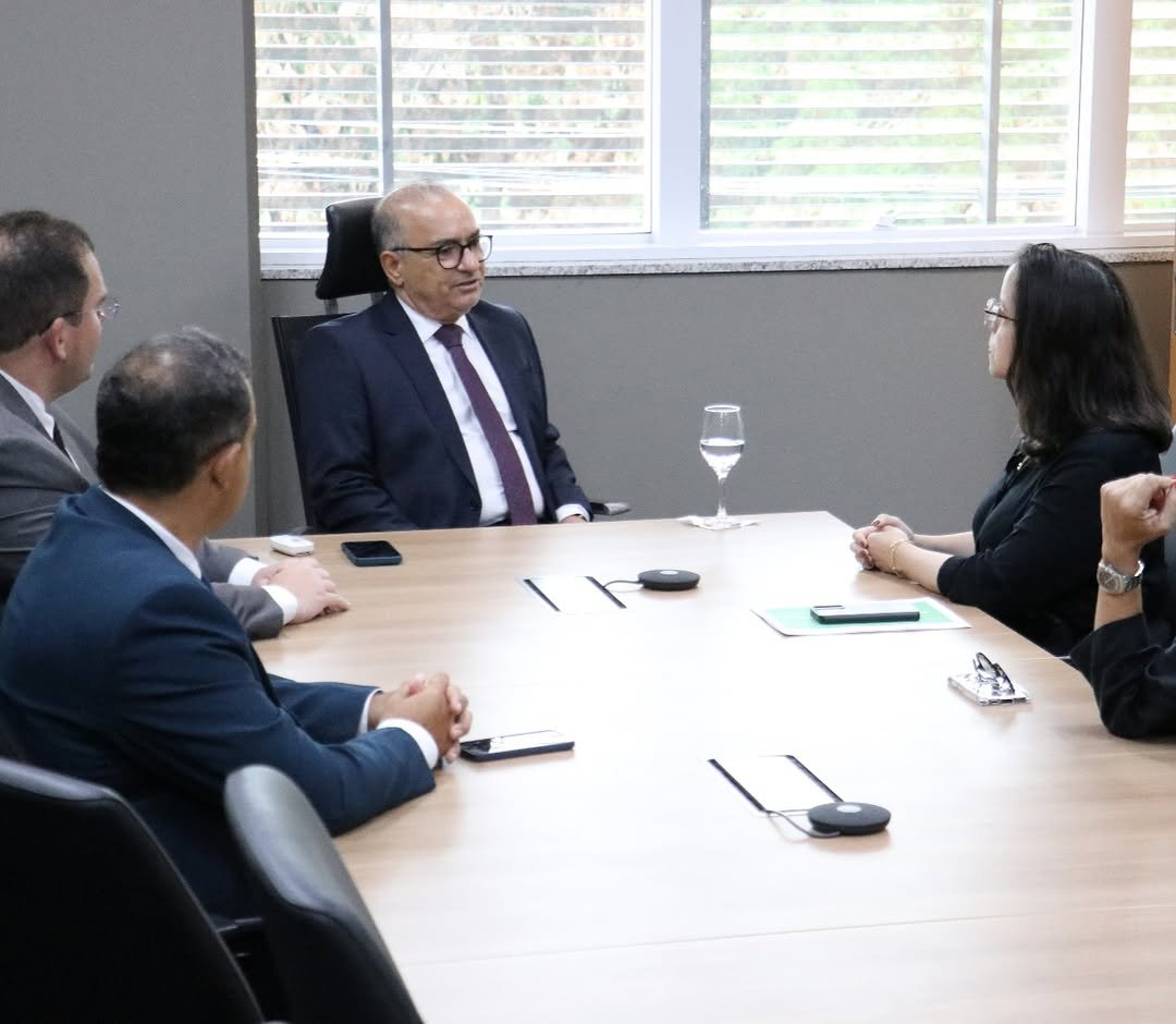 Clara Fernanda tweet media