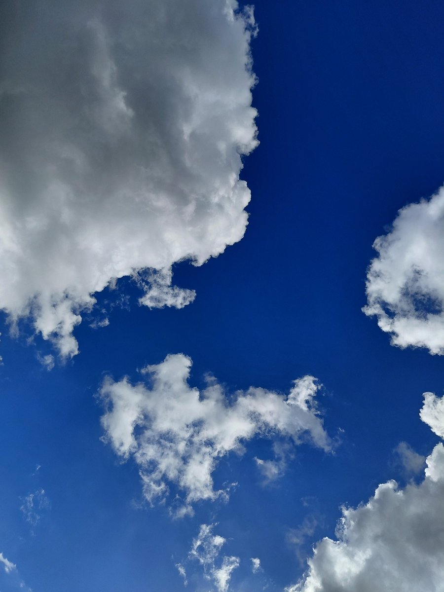 Tony Gaya 🇰🇪 tweet media