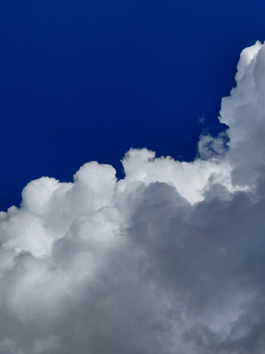 Tony Gaya 🇰🇪 tweet media