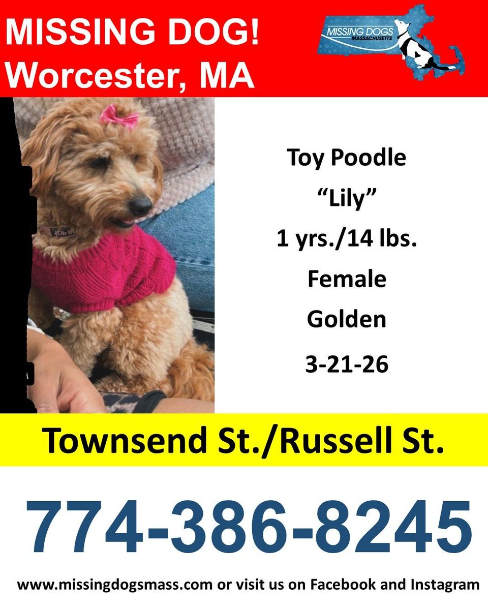 Christine J Arepaki tweet media