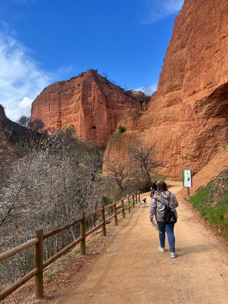 Cinefilia Cult tweet media