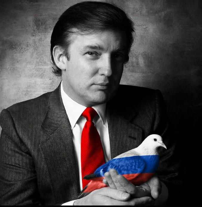 DonkConnects ♻️™ tweet media