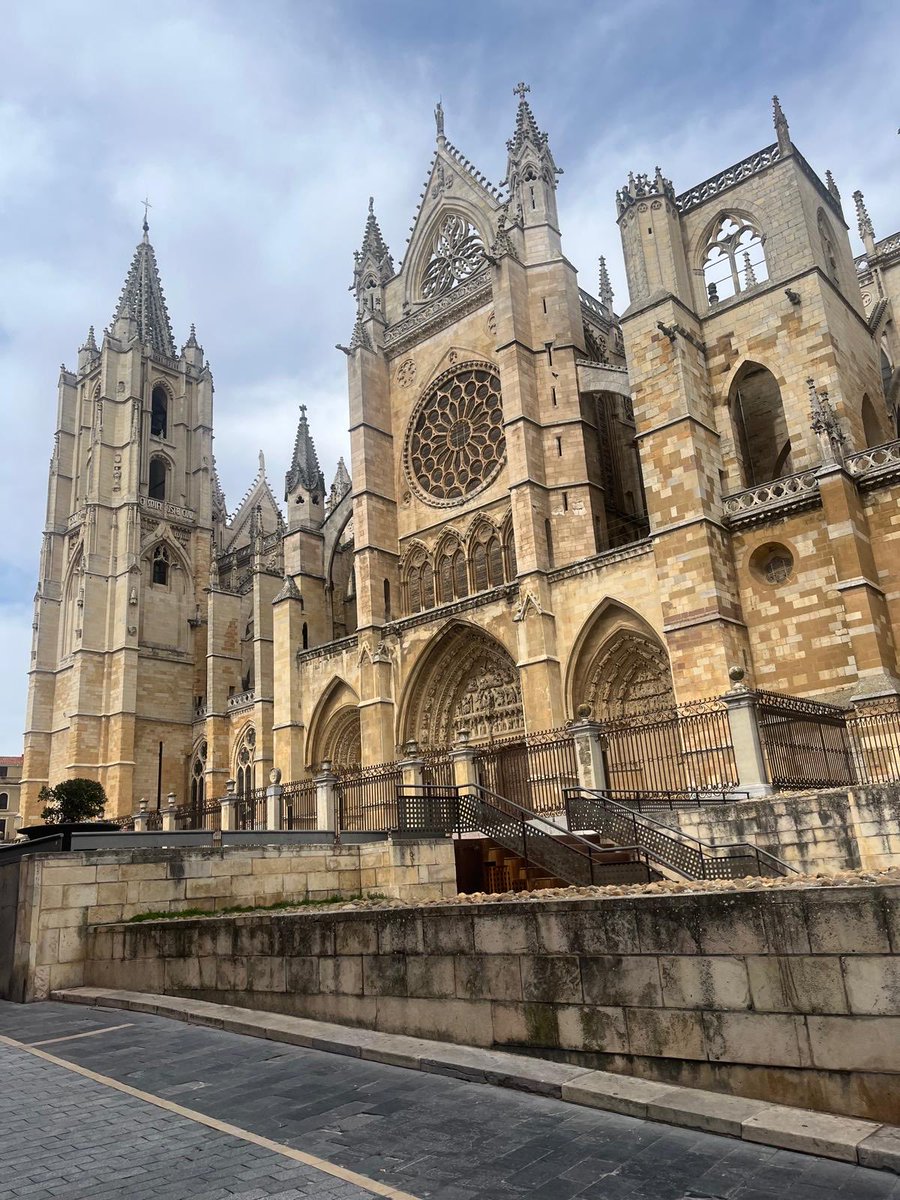 Cinefilia Cult tweet media