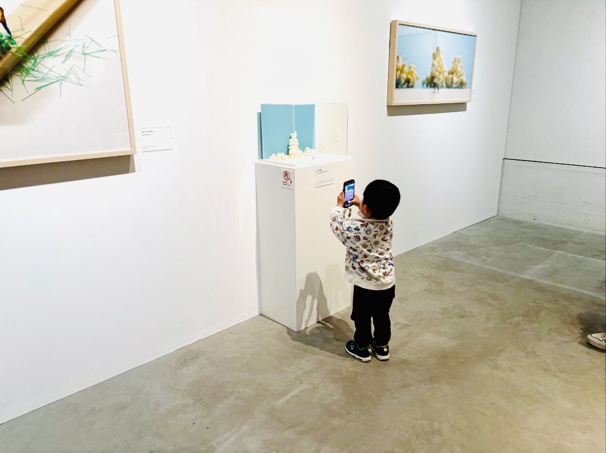 ちょむ tweet media