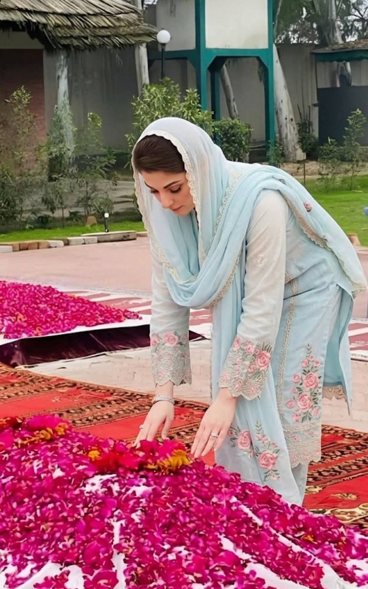 Mirza Zahid PMLN SWL tweet media