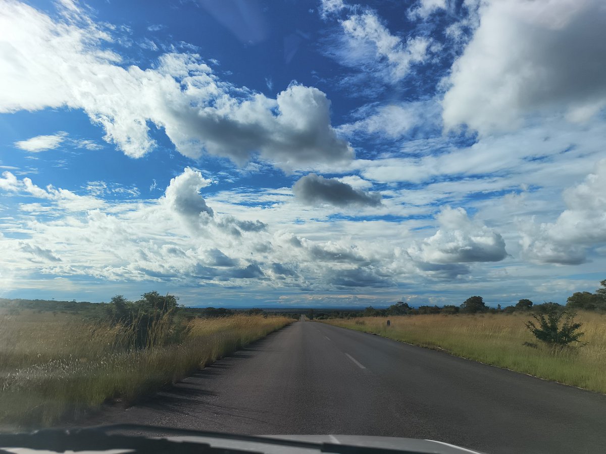 NobleNetwrk tweet media