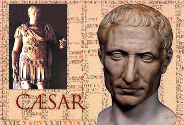 Michael McGill 🏛 tweet media