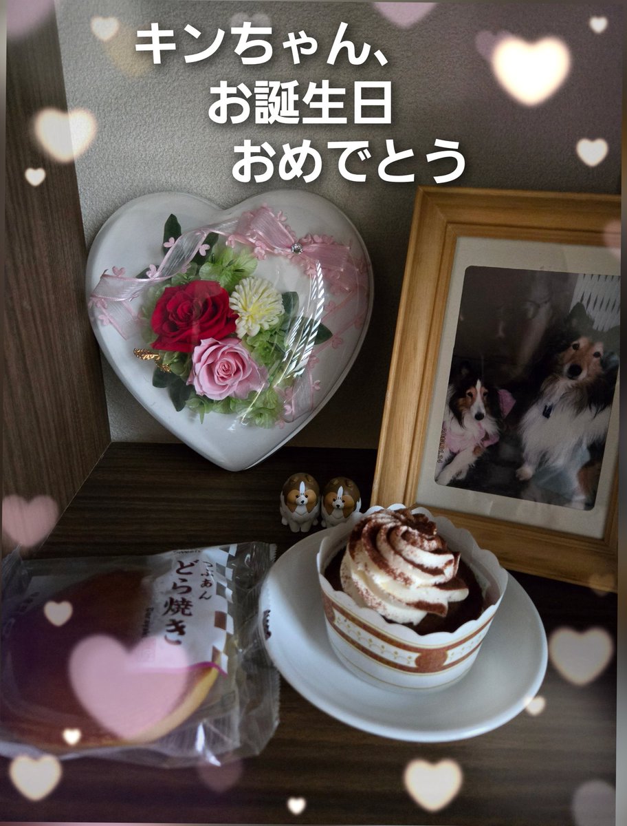 (新)🐈‍⬛an.🐈‍⬛az.🌈🐈yomo.🐕shell.🐕kin tweet media