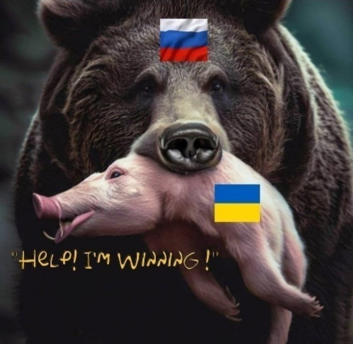 PolskiDąb3.0 tweet media