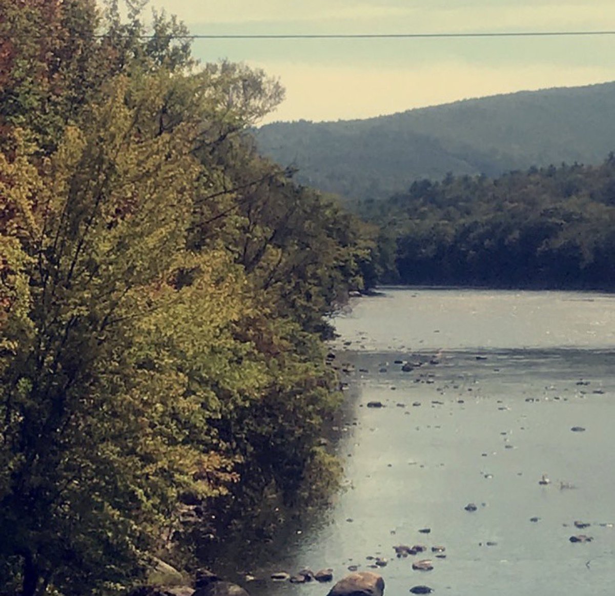 Chris Little 🍻🇺🇸 tweet media