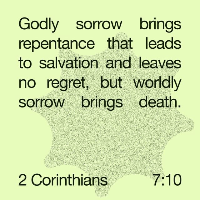 Boochon tweet media