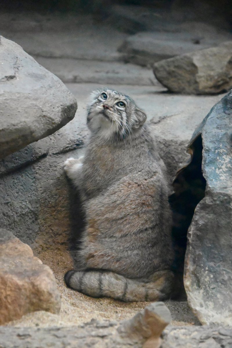 Mono🐰 tweet media