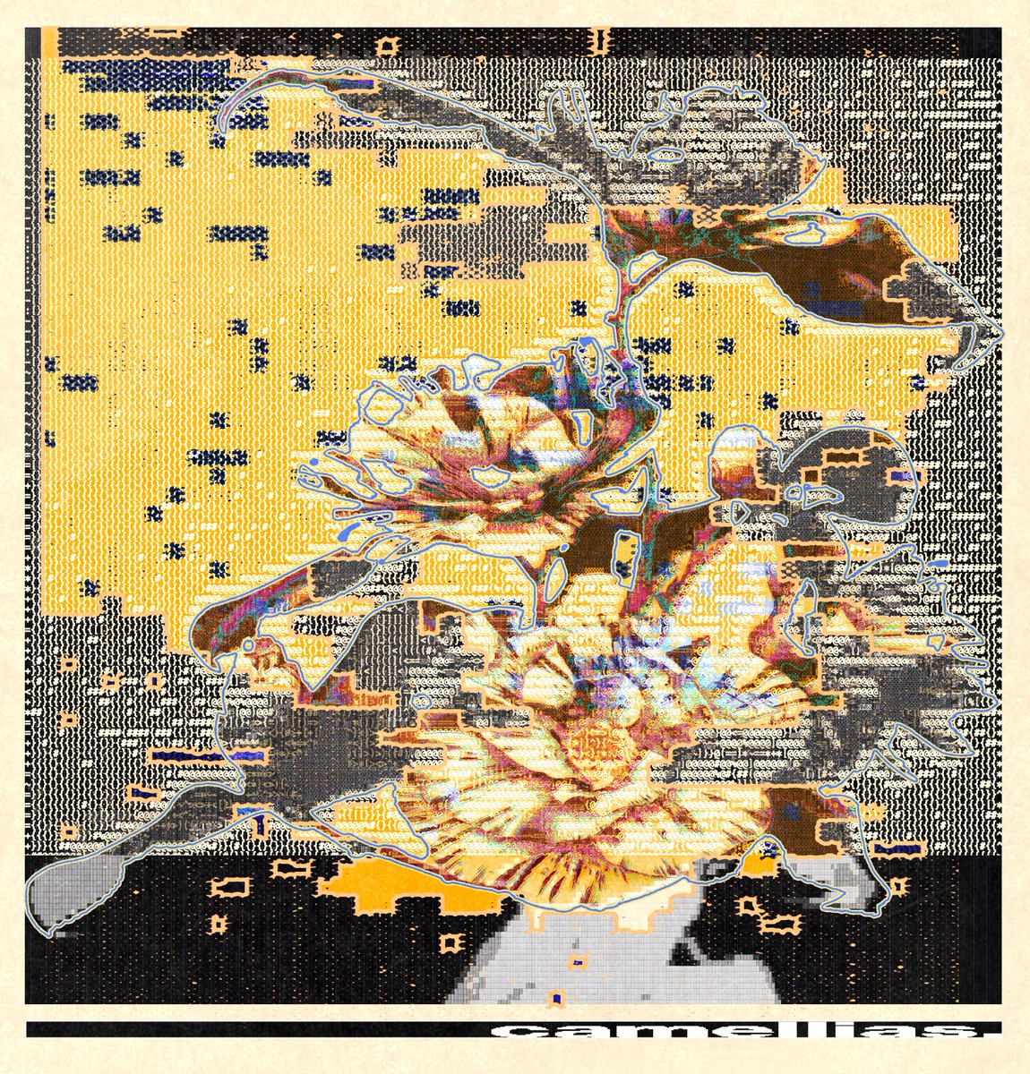 enigmatriz tweet media