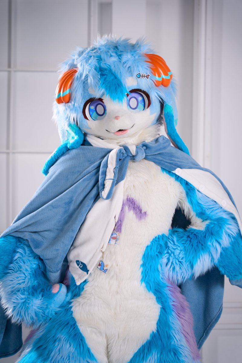 첨벙이 Splash 🦈 tweet media