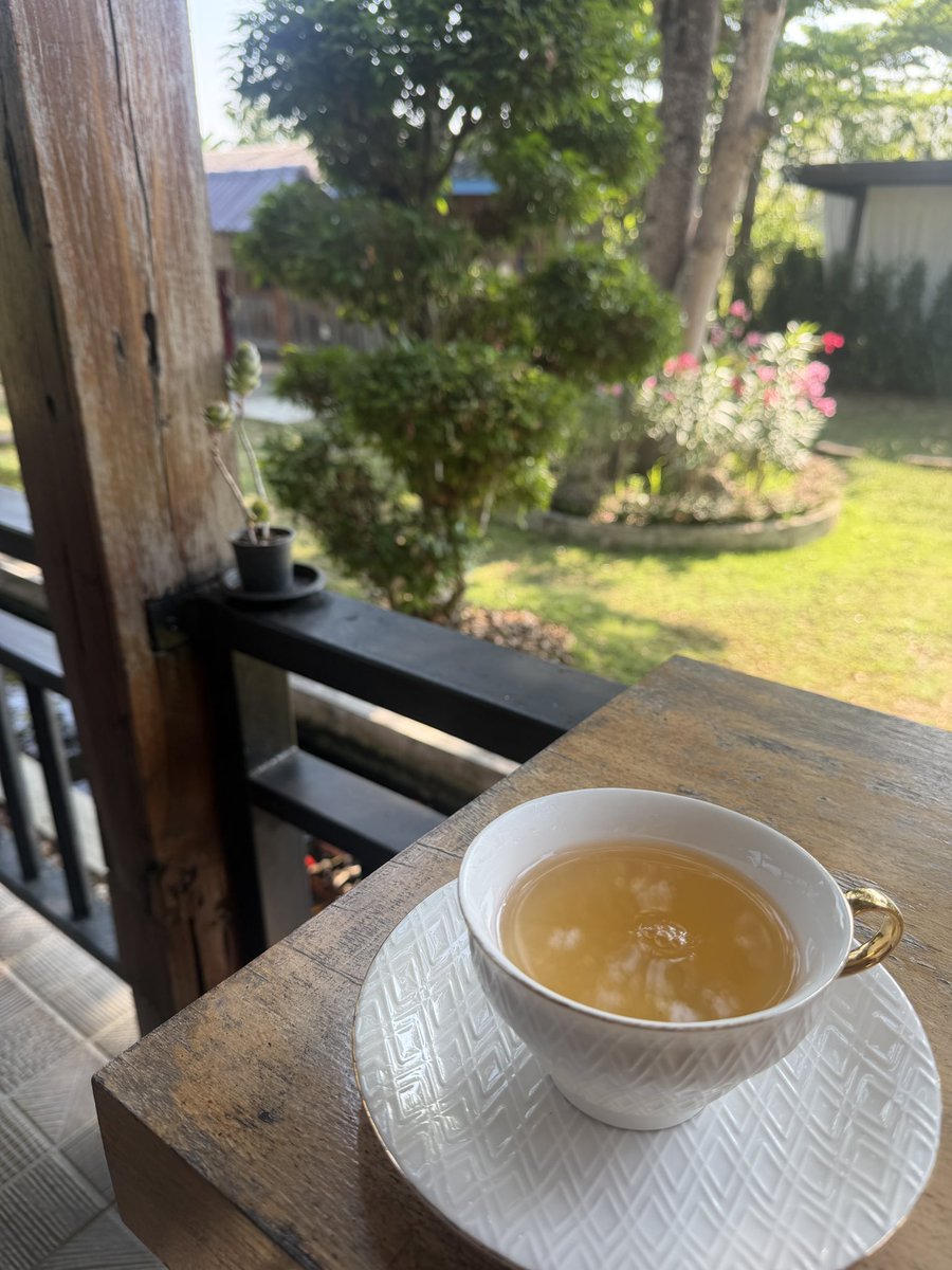 and_iku's tweet photo. 無事卒業も出来ました🎓
チェンマイ最終日のみ1日オフ🥰🇹🇭

勉強も兼ねて、本場ユーファイの生ハーブをフルコースで堪能してきました🌿
産後しか受けれないコースを頼もしい大大大先輩の交渉で受けれることに♡
静かな田舎で雑音ゼロの贅沢な時間🤤

帰りの飛行機の重量オーバーが心配🫨 https://t.co/n4y6WxZLaN