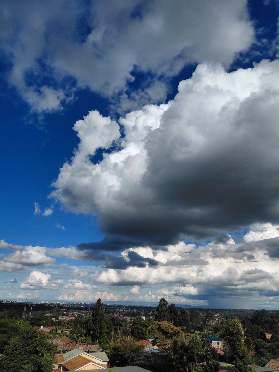 Tony Gaya 🇰🇪 tweet media