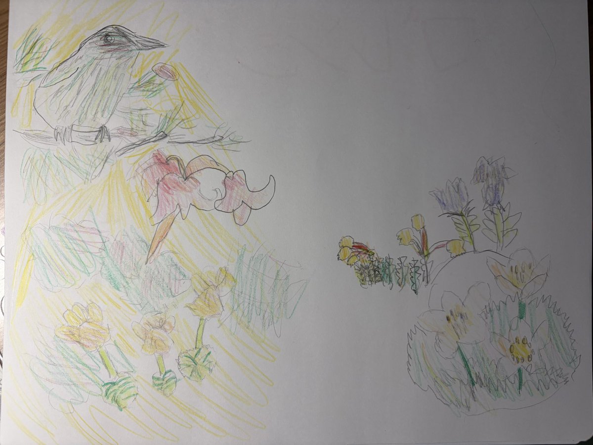 たぬき tweet media