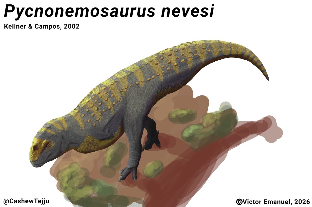 CashewTejju's tweet image. The largest named abelisaurid #dinosaur lived in #Brazil! Pycnonemosaurus nevesi
.
#sciart #paleoart